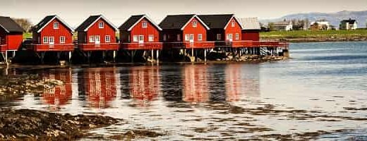 Bat rib flytur trondheimsfjorden featured