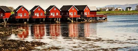 Bat rib flytur trondheimsfjorden featured