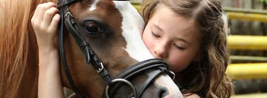 Gardsopphold finn roen sammen gard featured