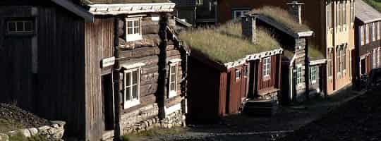 Sameliv på røros – illustration