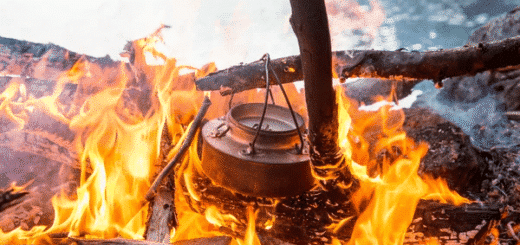 Hvordan tilberede oppleve matlaging naturen featured